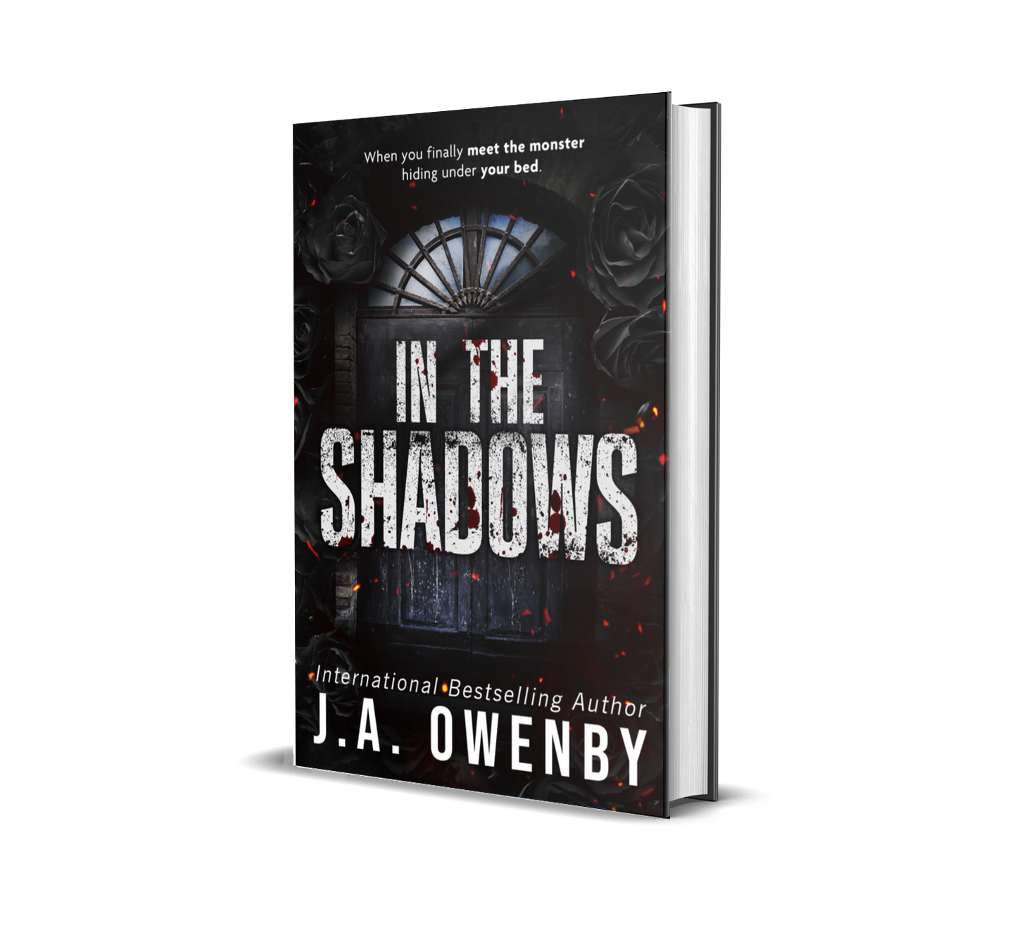 In the Shadows - Misprint - Tote Bundle Set