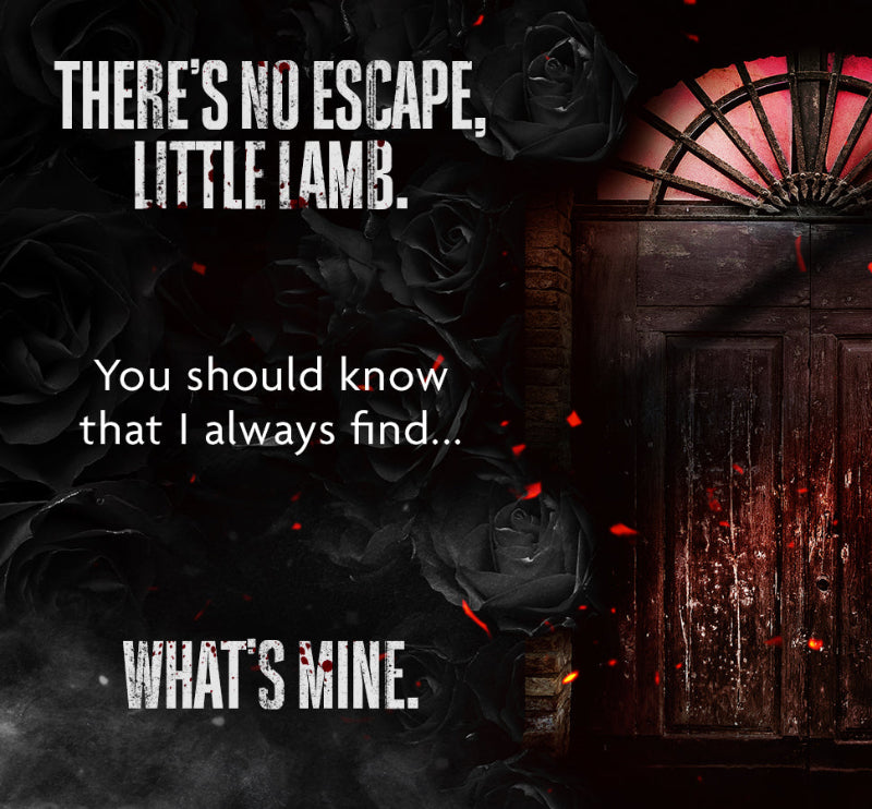 In the Shadows Special Edition Duet