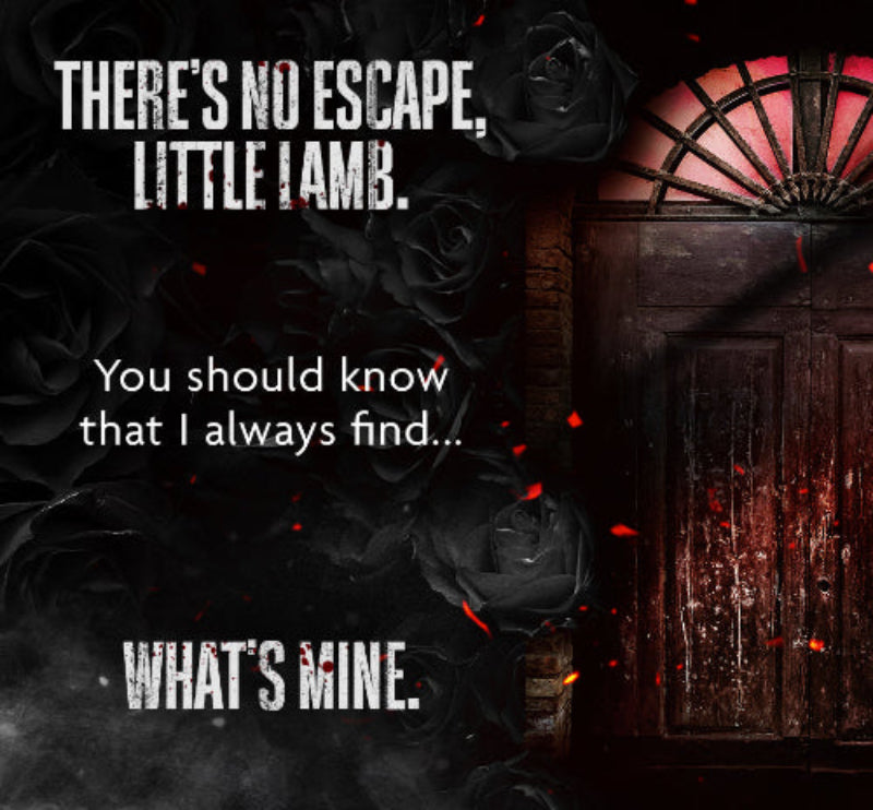 Back In the Shadows | Door Hardcover