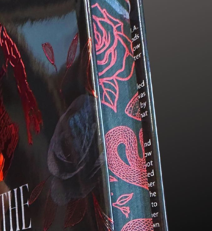 Buy One Get One - Imperfect Collector's Limited Special Edition of In The Shadows Series Hardcover - Signed Duet Box & Swag.