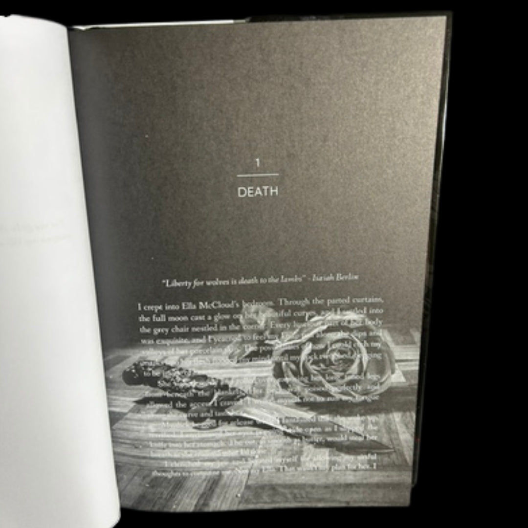 In The Shadow Red Foil Special Edition Book - Chapter Page Illustrations
