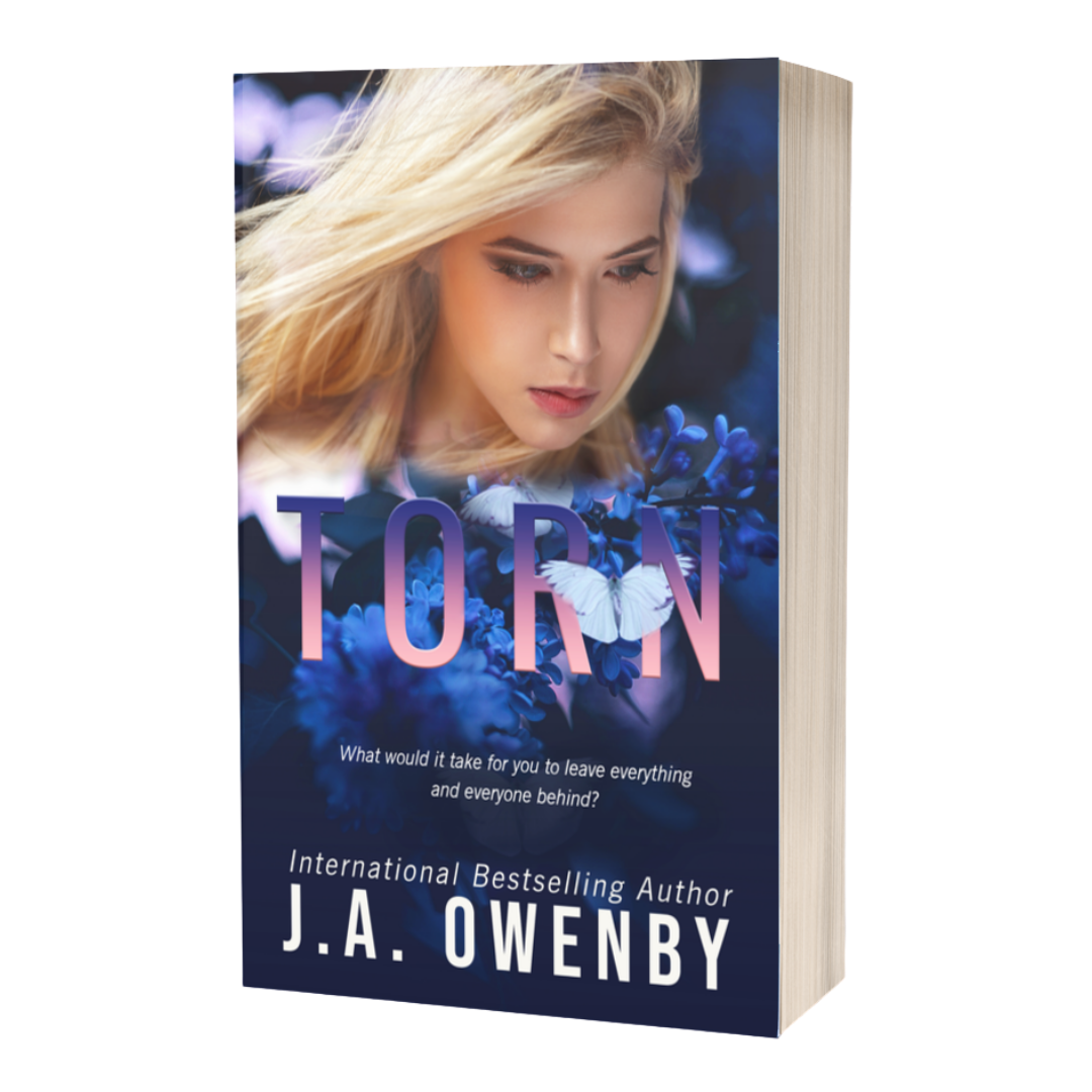 Torn (Book 1 of the The Torn Series)